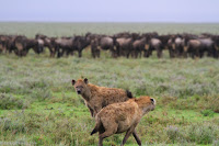 The Era of Value Based Care